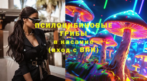 трава Аркадак