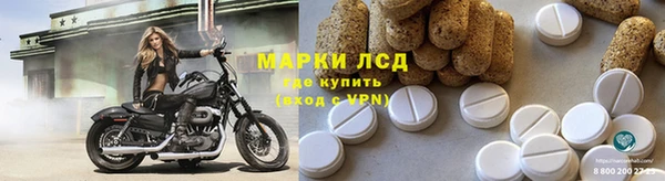 трава Аркадак