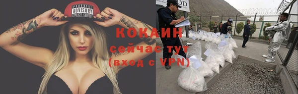 твердый Арсеньев
