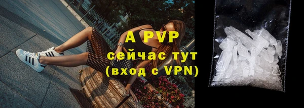 твердый Арсеньев