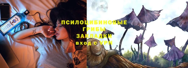 твердый Арсеньев