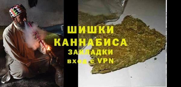 трава Аркадак